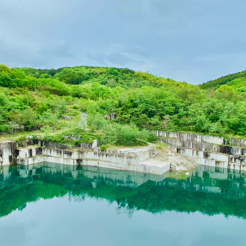 關西5日行程: 茨城.栃木 三大夢幻花海|國營常陸海濱公園、足利花卉園❀賞花期:4月下旬-5月初
