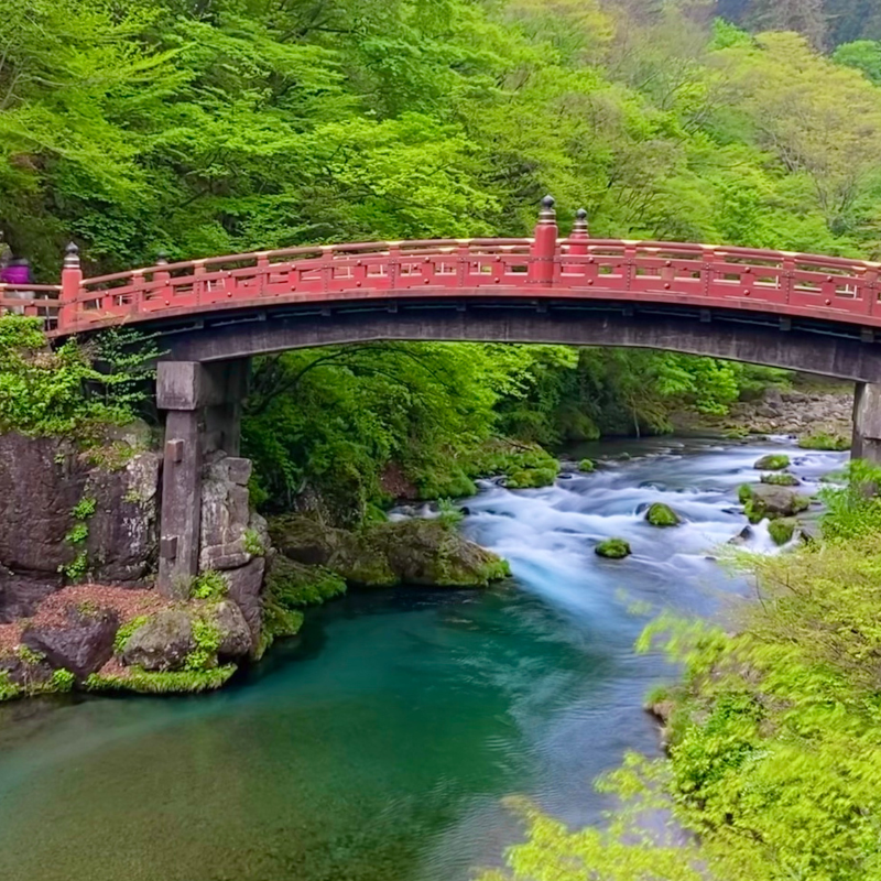 關西5日行程: 茨城.栃木 三大夢幻花海|國營常陸海濱公園、足利花卉園❀賞花期:4月下旬-5月初