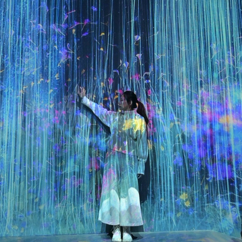 東京長野5日行程:淺草、輕井澤(草津溫泉)、長野、雪祭秘景(重點行程:特色列車、雪猿、1-2月之雪祭)