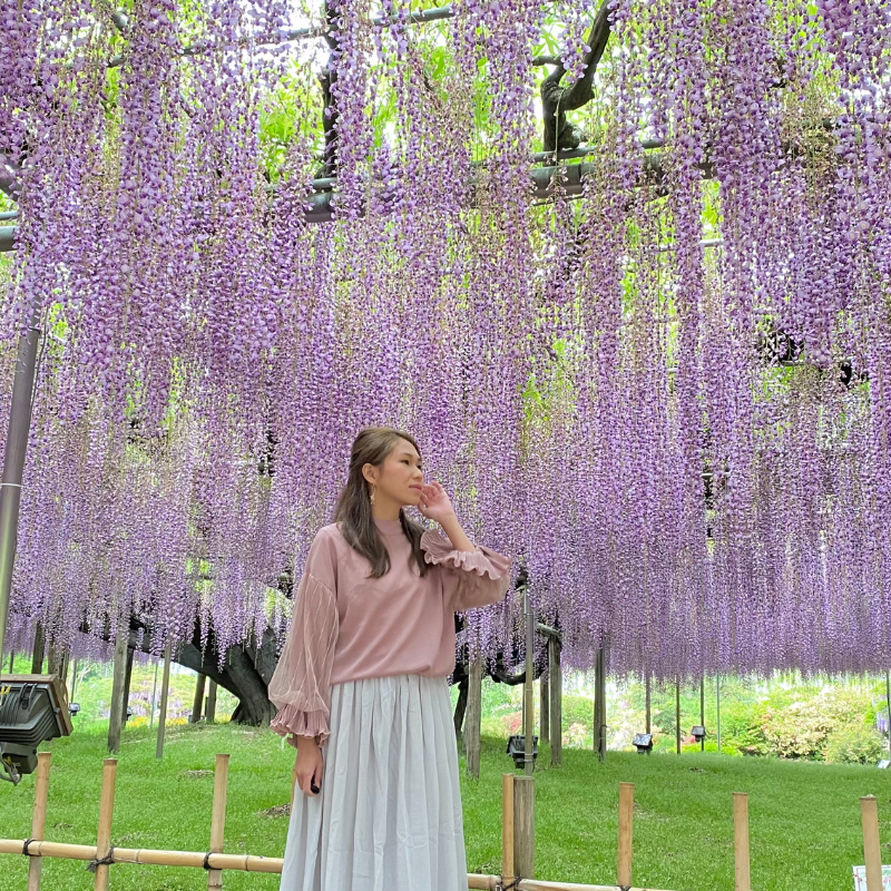 關西5日行程: 茨城.栃木 三大夢幻花海|國營常陸海濱公園、足利花卉園❀賞花期:4月下旬-5月初
