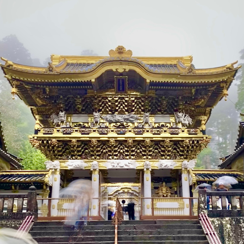 關西5日行程: 茨城.栃木 三大夢幻花海|國營常陸海濱公園、足利花卉園❀賞花期:4月下旬-5月初