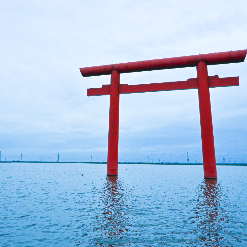 關西5日行程: 茨城.栃木 三大夢幻花海|國營常陸海濱公園、足利花卉園❀賞花期:4月下旬-5月初