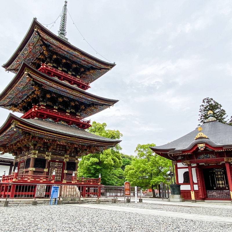 關西5日行程: 茨城.栃木 三大夢幻花海|國營常陸海濱公園、足利花卉園❀賞花期:4月下旬-5月初
