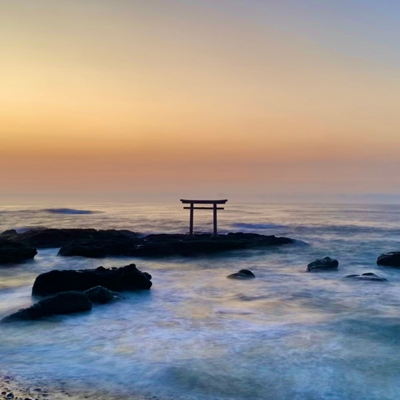 關西5日行程: 茨城.栃木 三大夢幻花海|國營常陸海濱公園、足利花卉園❀賞花期:4月下旬-5月初
