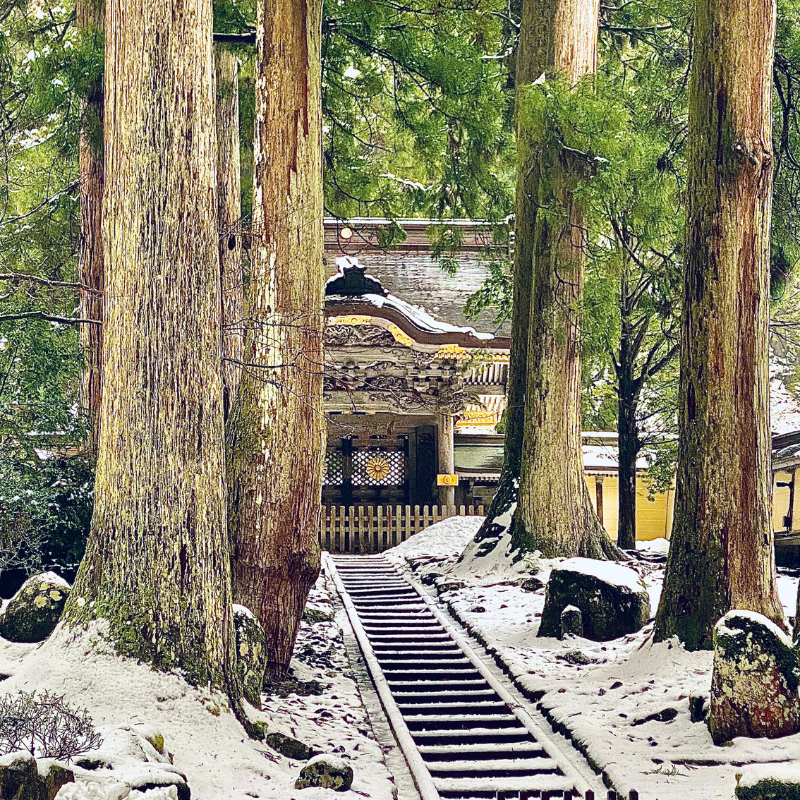 日本福井縣5日行程:溫泉、品嚐【越前蟹】、在地美食及文化旅遊