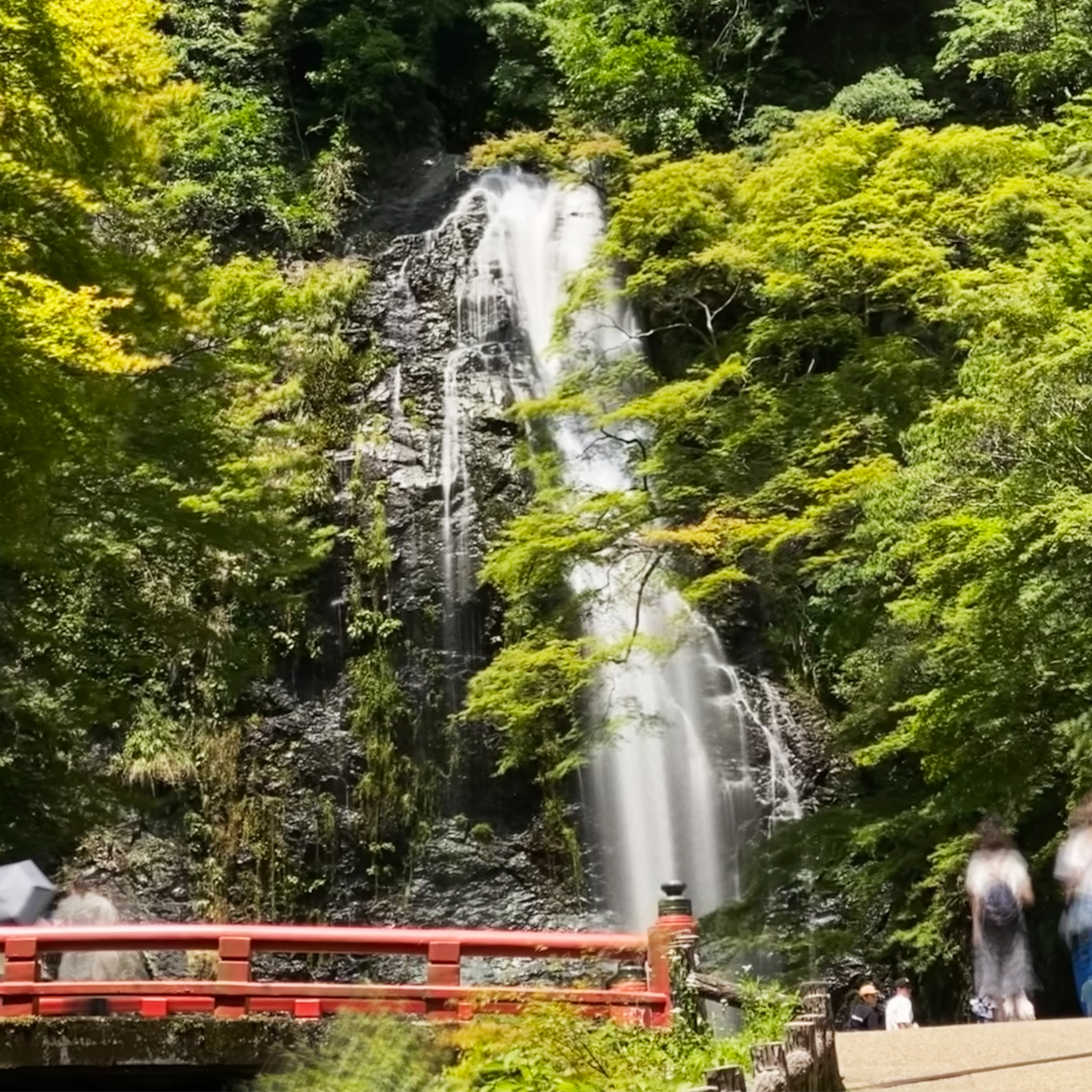 關西4日行程:大阪、兵庫、淡路(重點:箕面新綠紅楓、有馬溫泉.淡路西岸新景點)