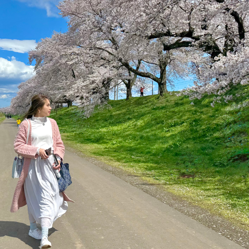 日本東北7天賞櫻行程(宮城仙台、岩手盛岡、秋田角館、青森三澤&十和田)陸奧賞櫻名所