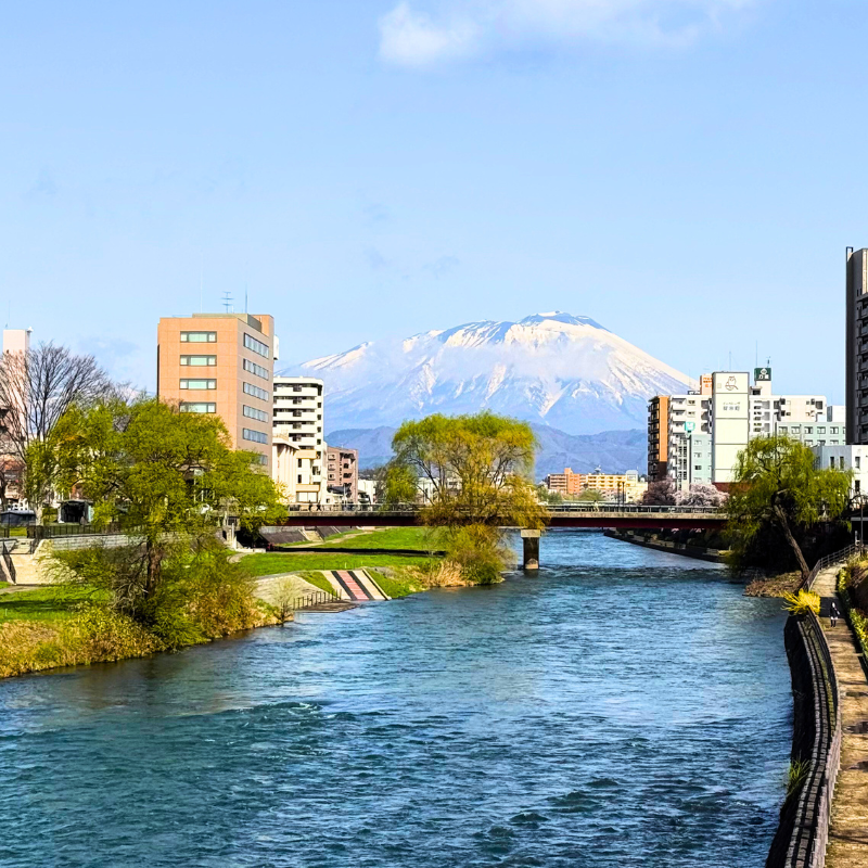日本東北7天賞櫻行程(宮城仙台、岩手盛岡、秋田角館、青森三澤&十和田)陸奧賞櫻名所
