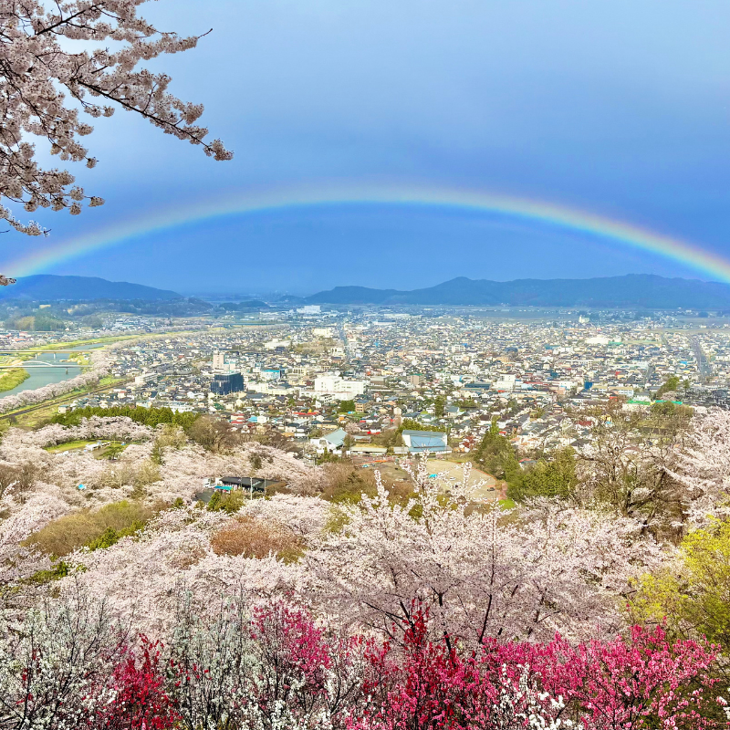日本東北7天賞櫻行程(宮城仙台、岩手盛岡、秋田角館、青森三澤&十和田)陸奧賞櫻名所