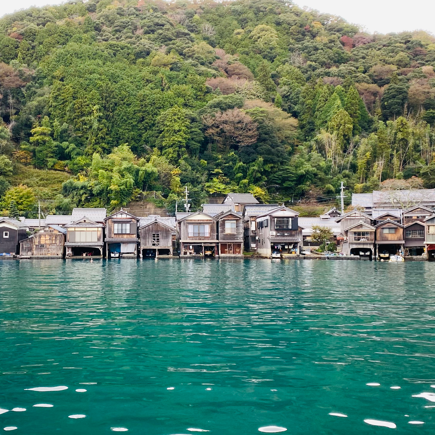關西深度遊5天(重點行程:城崎溫泉.間人|京都伊根町.天橋立)