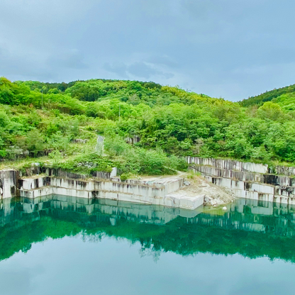 關西5日行程： 茨城．栃木 三大夢幻花海｜國營常陸海濱公園、足利花卉園❀賞花期：4月下旬-5月初