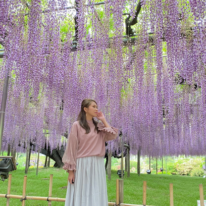 關西5日行程： 茨城．栃木 三大夢幻花海｜國營常陸海濱公園、足利花卉園❀賞花期：4月下旬-5月初