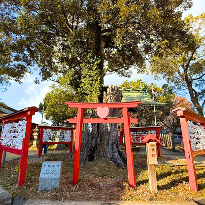 九州 5 天遊行程：福岡、久留米、古湯温泉、糸島、日田、黑川溫泉（適合冬季/一月初詣）