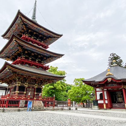 關西5日行程： 茨城．栃木 三大夢幻花海｜國營常陸海濱公園、足利花卉園❀賞花期：4月下旬-5月初