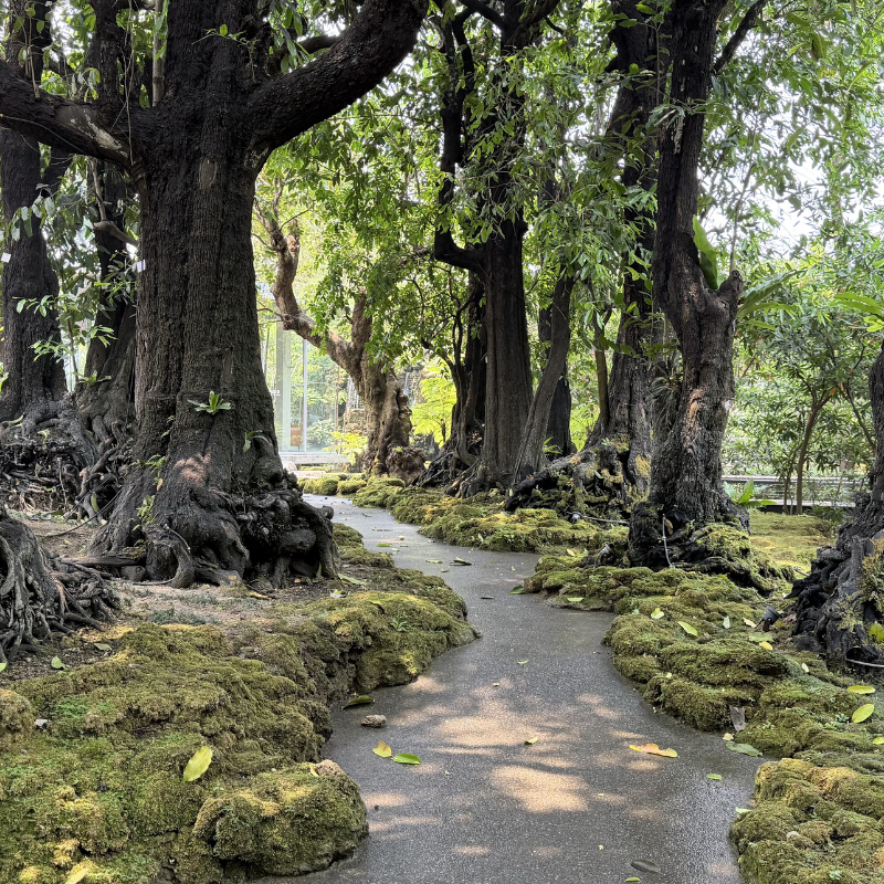 清邁自由行 5 天行程：清邁市中心、湄登湄林湄安、爆紅景點之旅（適合一年四季）