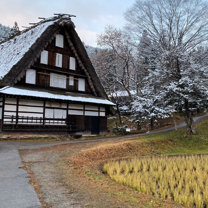 名古屋、敦賀、加賀、金澤、富山、高山北陸行程