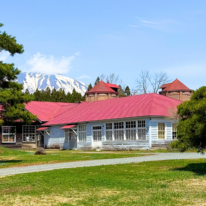 日本東北7天賞櫻行程（宮城仙台、岩手盛岡、秋田角館、青森三澤&十和田）陸奧賞櫻名所