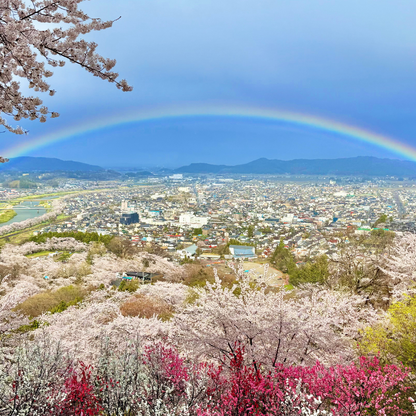 日本東北7天賞櫻行程（宮城仙台、岩手盛岡、秋田角館、青森三澤&十和田）陸奧賞櫻名所